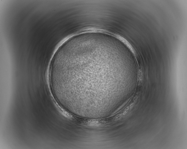 X0000116671098200912211559