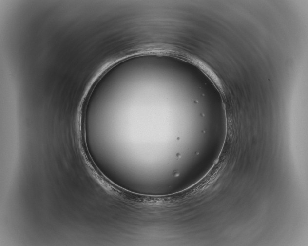 X0000116671099200912211559