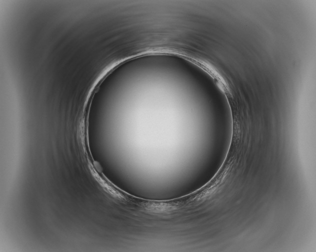 X0000116671100200912211559