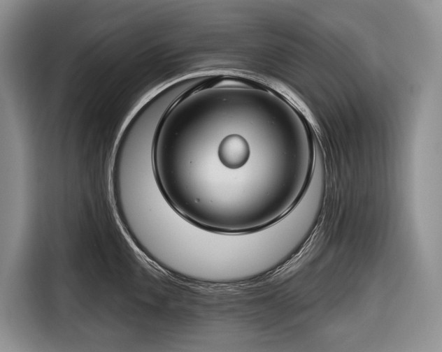 X0000116671101200912211559