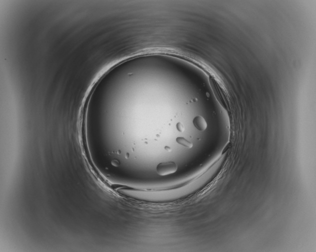 X0000116671102200912211559