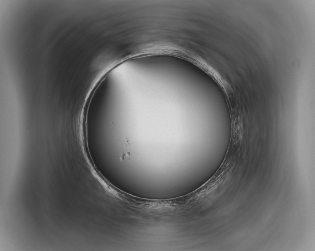 X0000116671103200912211559