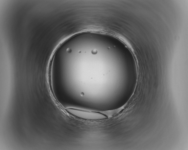 X0000116671104200912211558