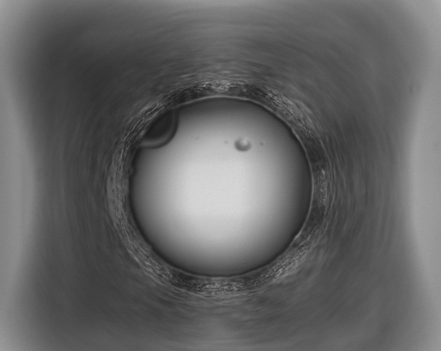 X0000116671105200912211558