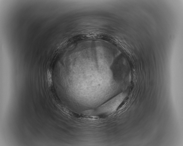 X0000116671106200912211558