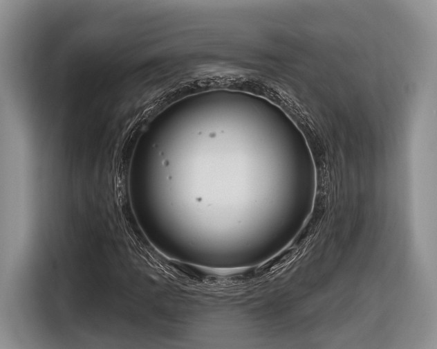 X0000116671109200912211558