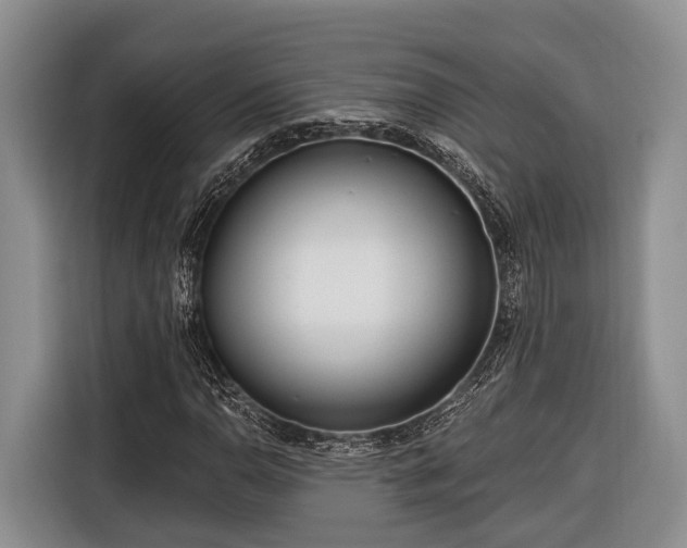 X0000116671110200912211558