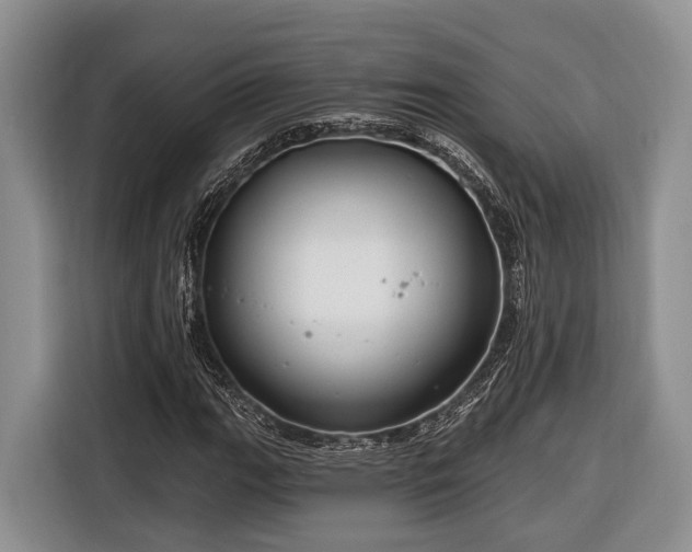 X0000116671111200912211558