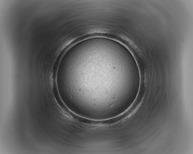 X0000116671113200912211558