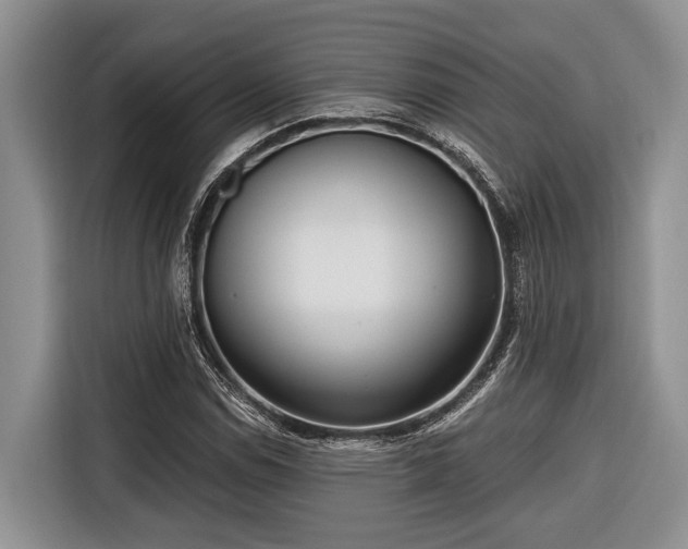 X0000116671114200912211558