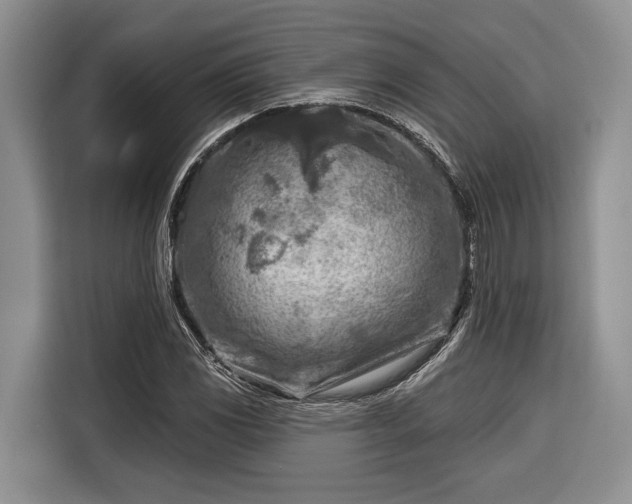 X0000116671117200912211558