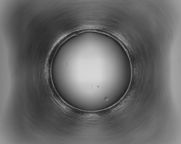 X0000116671119200912211558