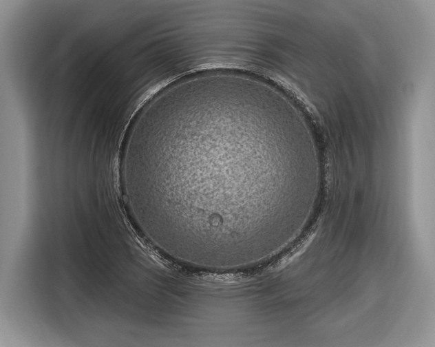 X0000116671121200912211558