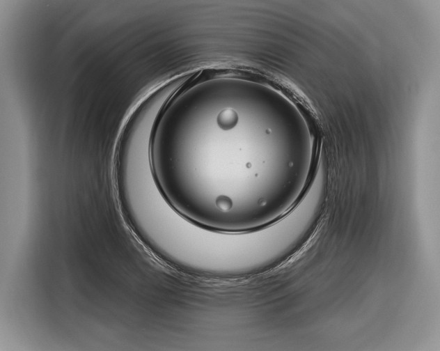 X0000116671122200912211558