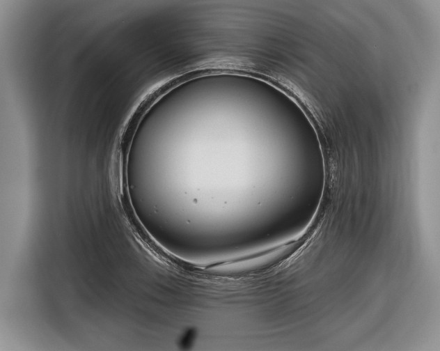 X0000116671123200912211558