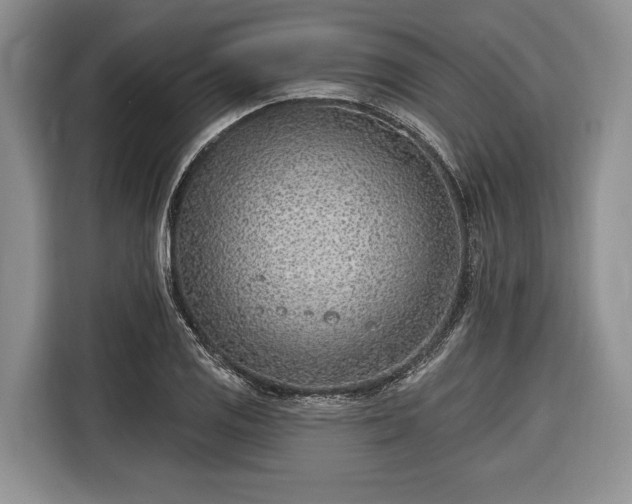 X0000116671125200912211558