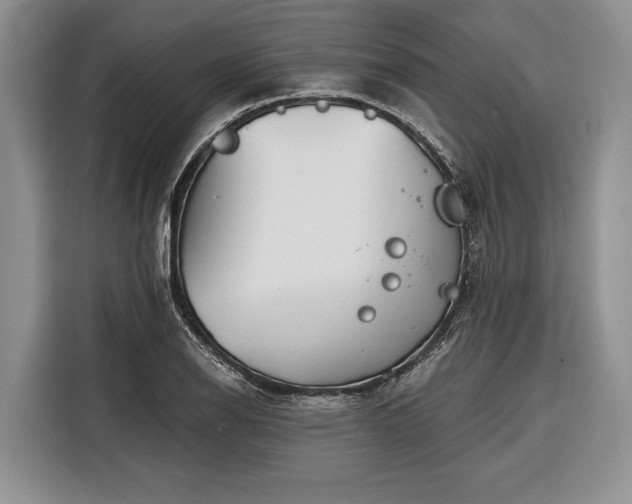 X0000116671126200912211558