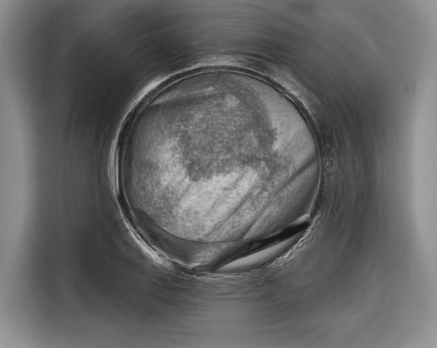 X0000116671127200912211558