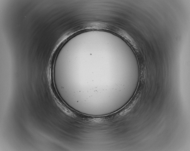 X0000116671130200912211558