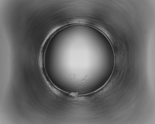 X0000116671131200912211558