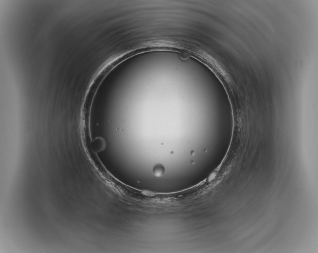 X0000116671133200912211558