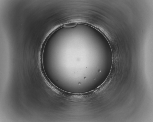 X0000116671134200912211558