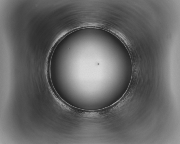 X0000116671135200912211558