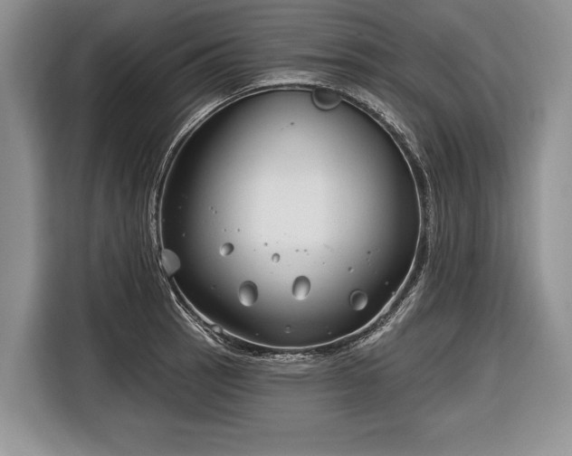 X0000116671137200912211558