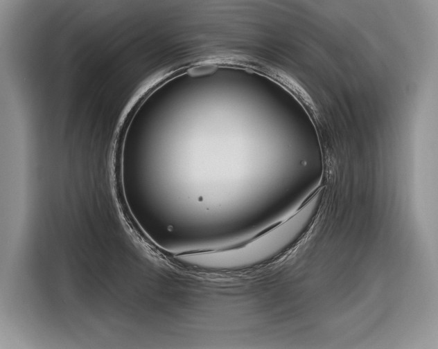 X0000116671138200912211558