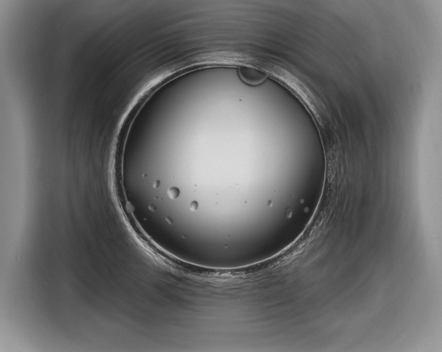 X0000116671139200912211558