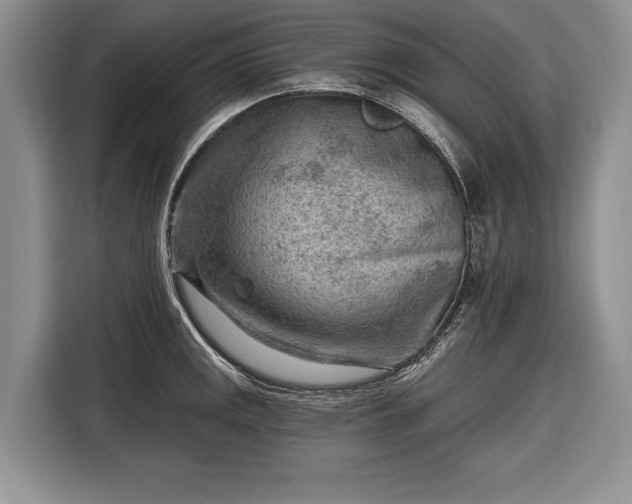 X0000116671141200912211558