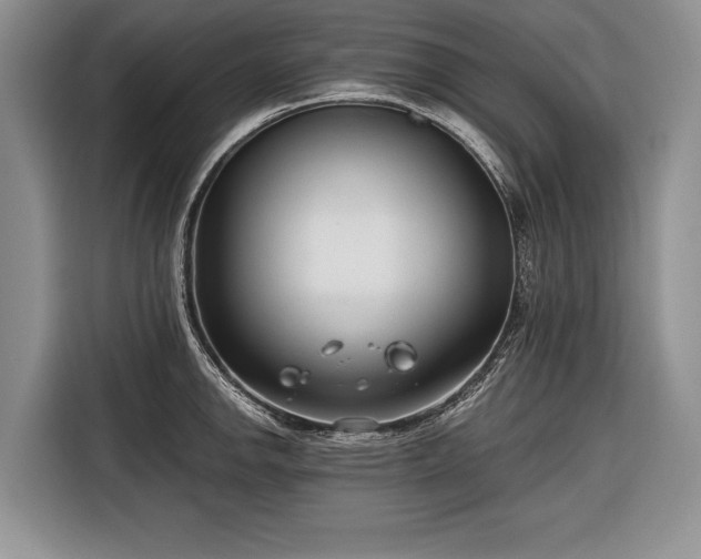 X0000116671142200912211558