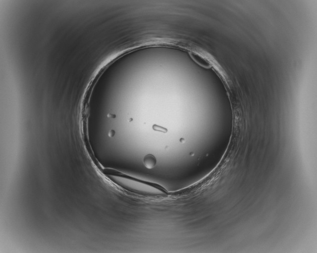 X0000116671143200912211558