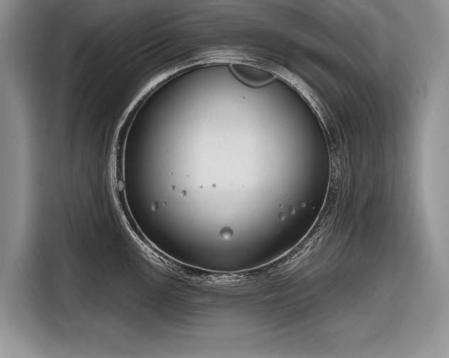 X0000116671147200912211558