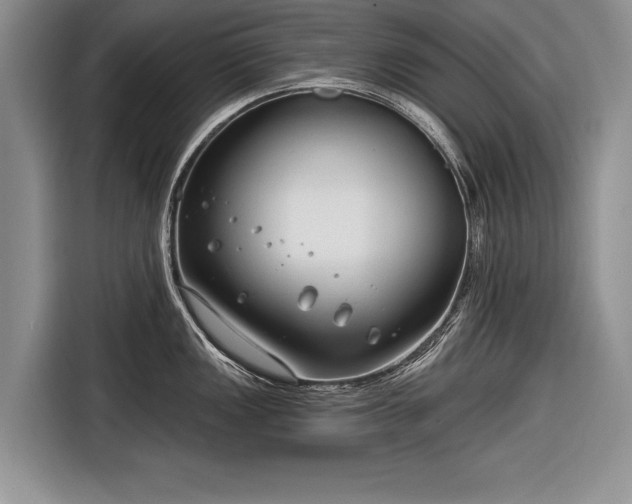 X0000116671149200912211558