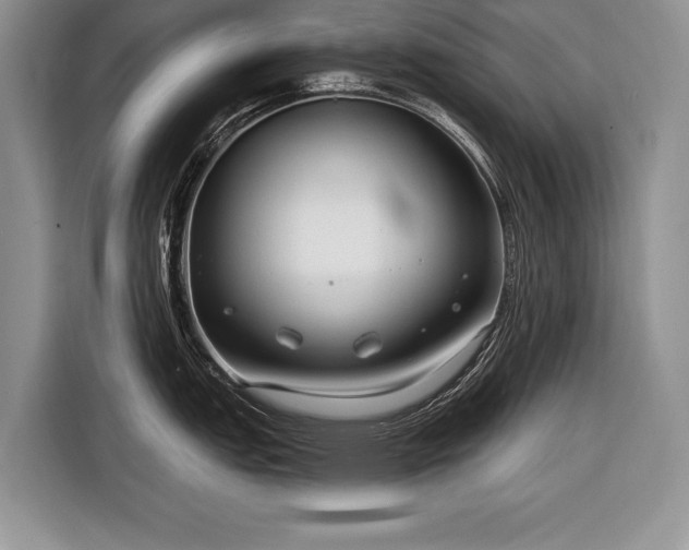 X0000116671151200912211558