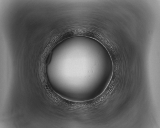 X0000116671153200912211558