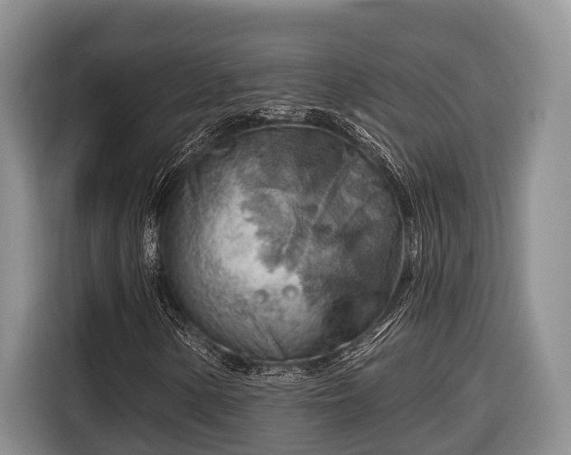 X0000116671154200912211558