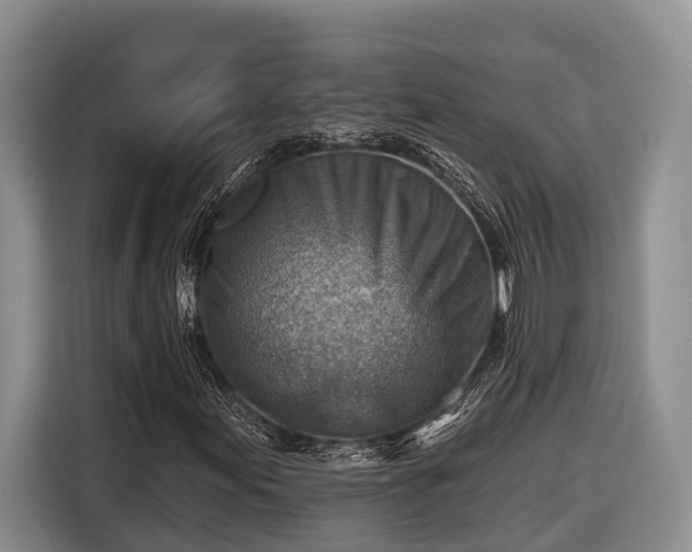 X0000116671155200912211558