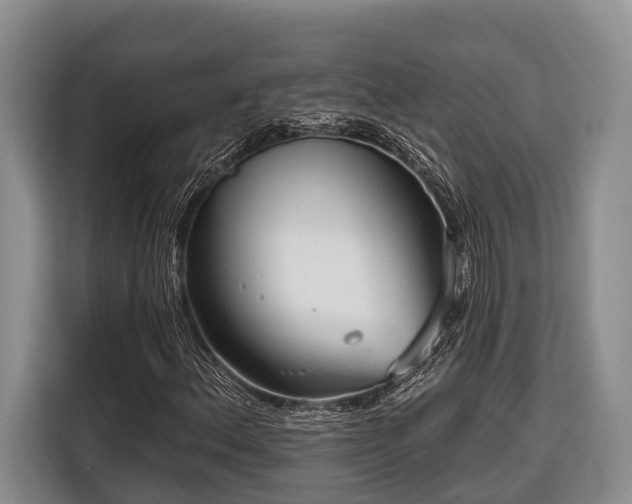 X0000116671156200912211558