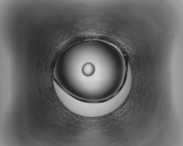 X0000116671157200912211558