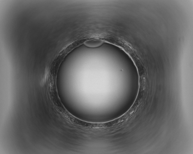 X0000116671158200912211558