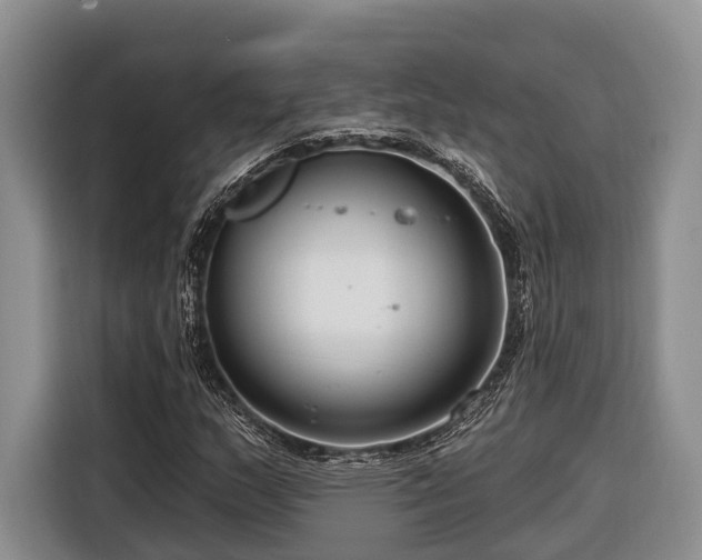 X0000116671159200912211558