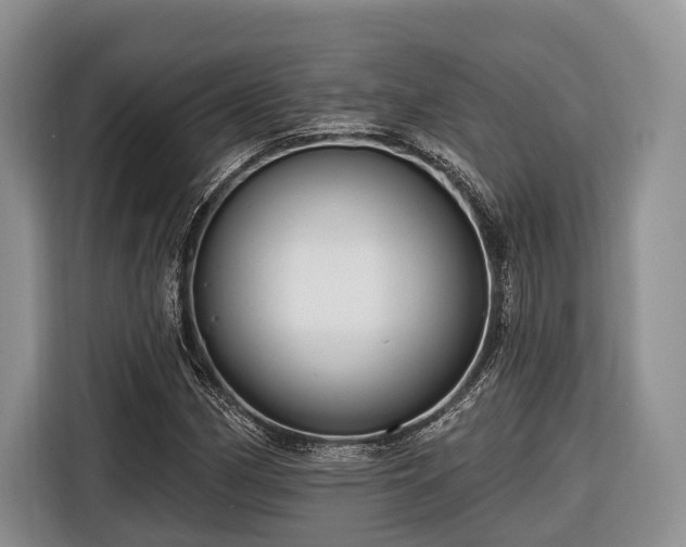 X0000116671162200912211558