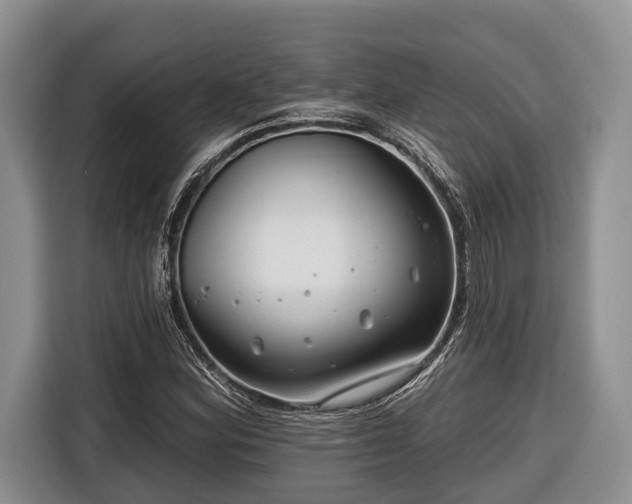 X0000116671164200912211558