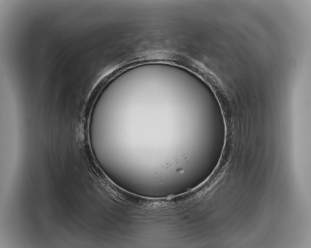 X0000116671166200912211558