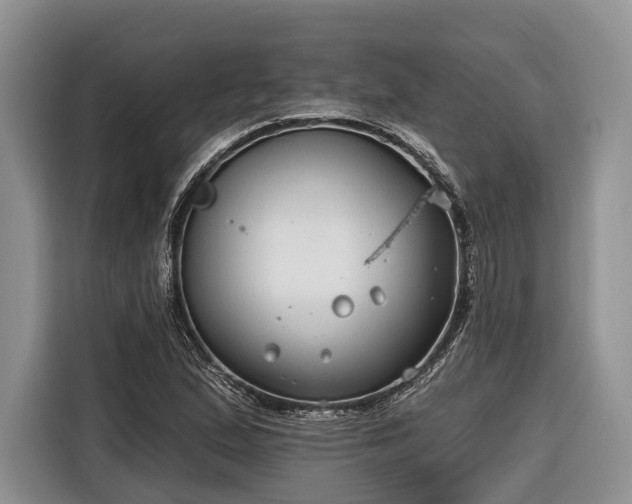 X0000116671167200912211558