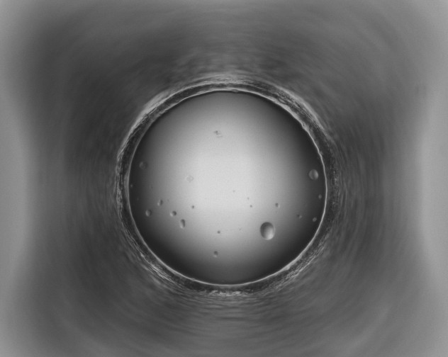 X0000116671168200912211558