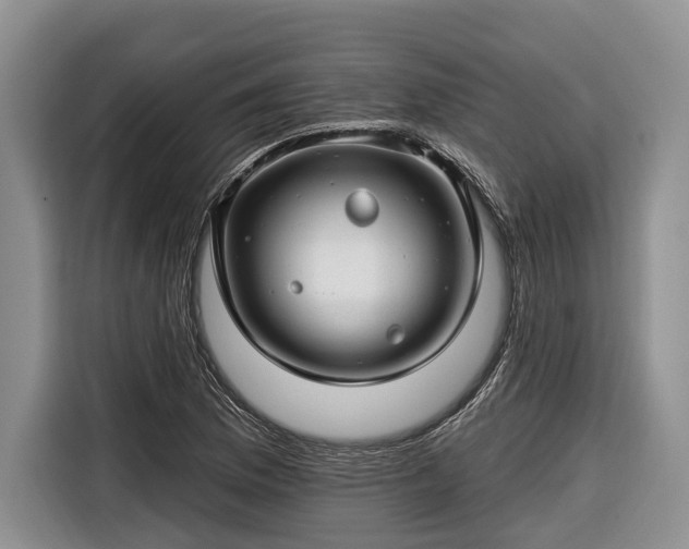 X0000116671169200912211558