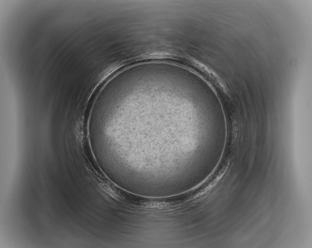 X0000116671170200912211558